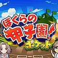 ぼくらの甲子園！ポケット