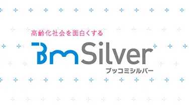 Early 2010 BMSilver (Bukkomi Silver)