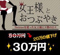 Twitterではぐくむ女王様と下僕の関係 | 価格: 30万