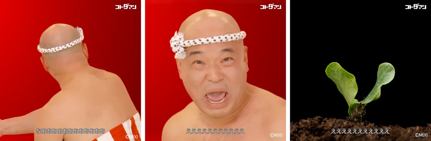 Altタグの内容