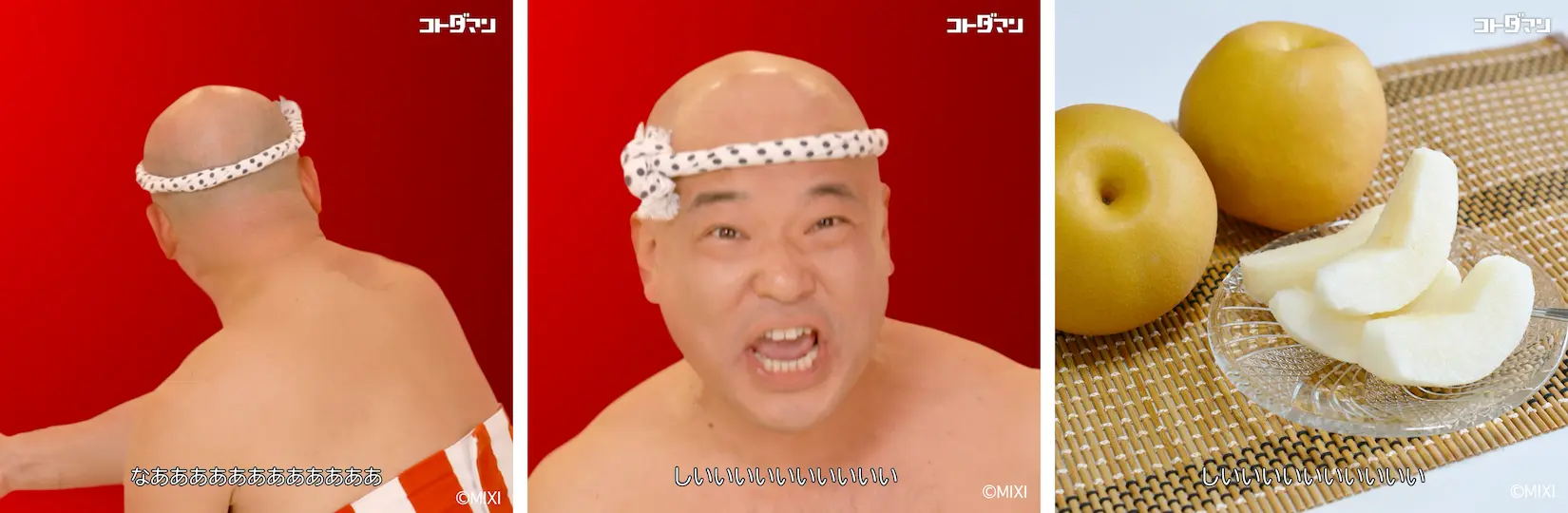 Altタグの内容