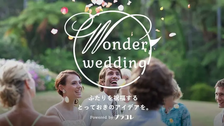 Wonder Wedding