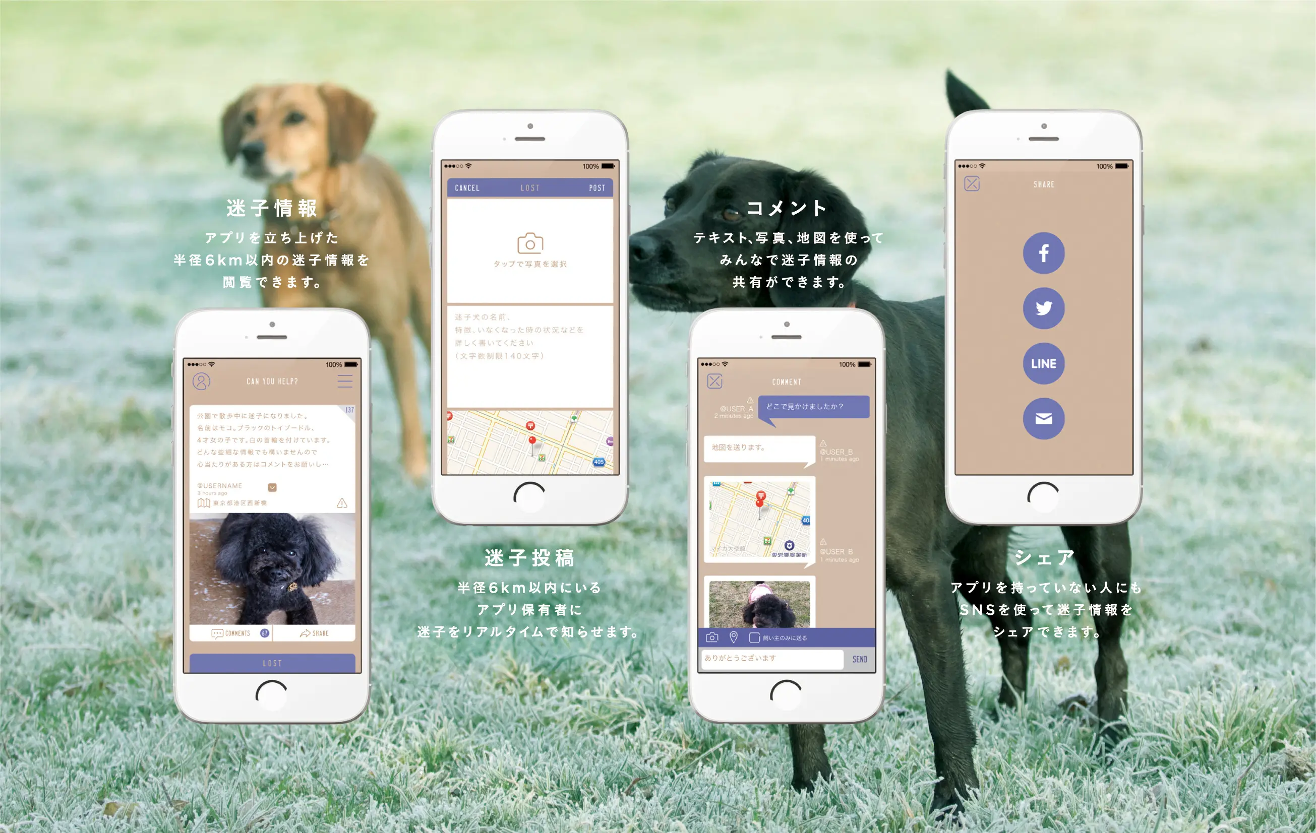 半径６km以内の迷子犬を救おう 迷子犬を発見するiphoneアプリ Findog リリース 面白法人カヤック