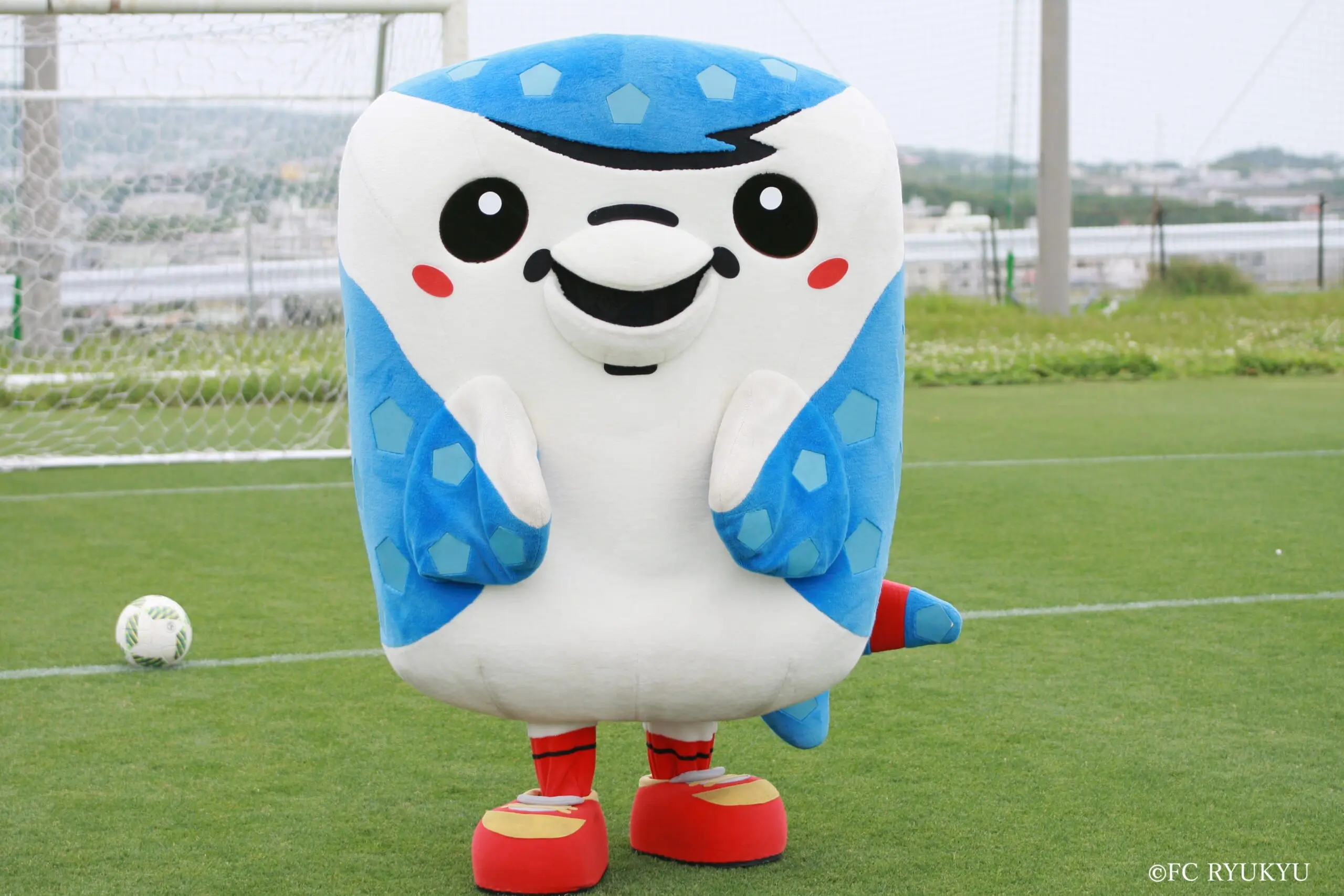 FC琉球 ジンベーニョユニフォーム ブルー ③ FC琉球 ジンベーニョ