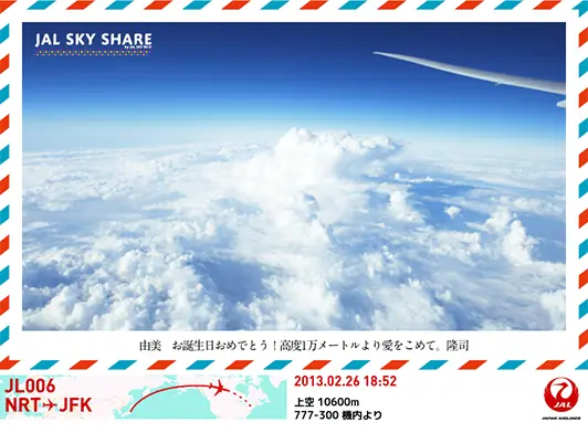 JAL SKY SHARE