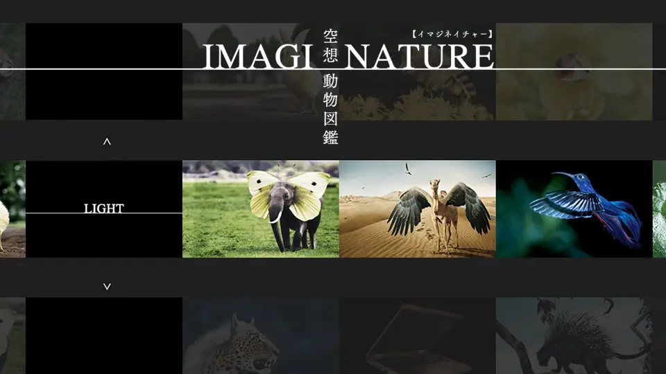 IMAGINATURE【空想動物図鑑／空想動物診断】