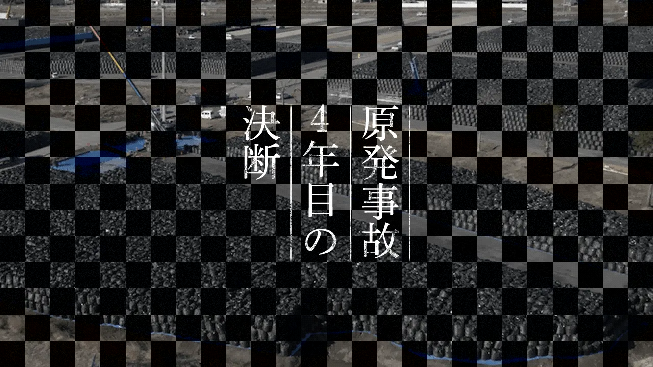 原発事故４年目の決断