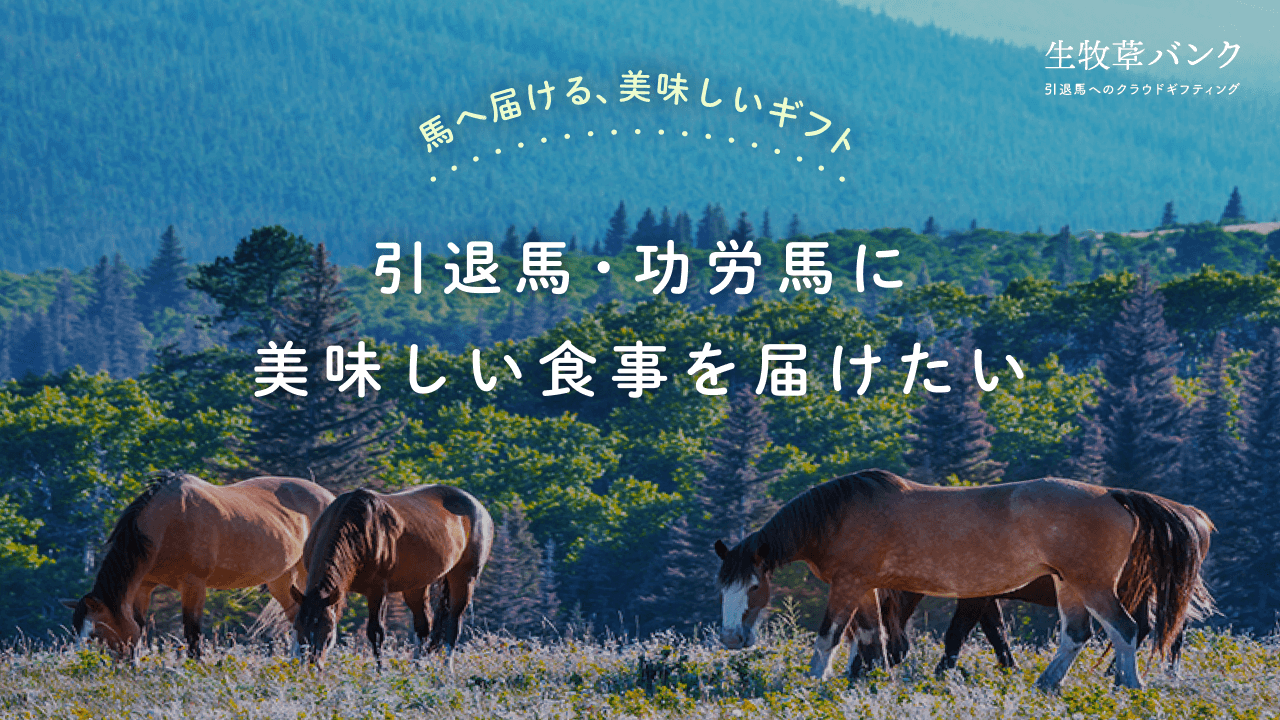 誰でも引退場や功労馬に生牧草を贈れる新サービス【生牧草バンク】