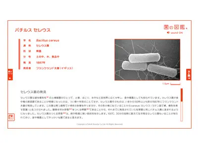 ヤクルト菌の図鑑